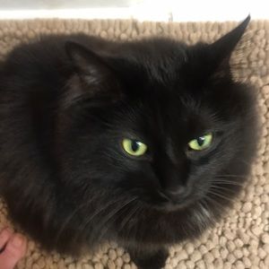 Meet your Posher, Stacy